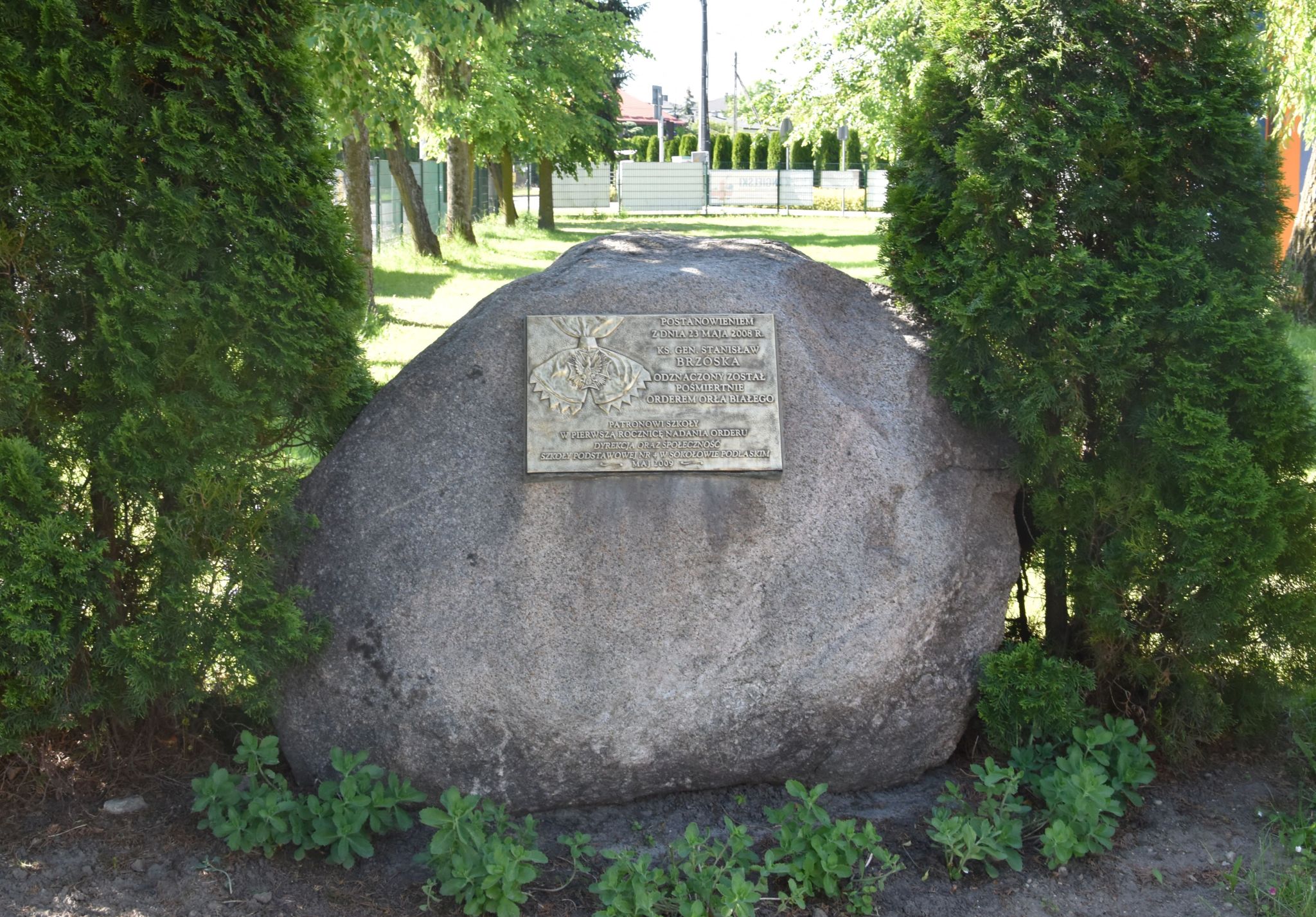 fot.17